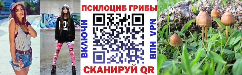 Галлюциногенные грибы Magic Shrooms  omg ССЫЛКА  Тамбов 